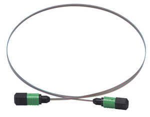 MPO&MTP光纖產品-帶纖式MPO跳線